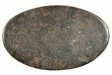 Stony Chondrite Cabochon ( g) - Meteorite #238227-1